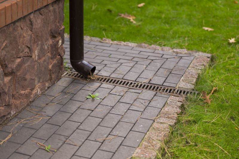 Downspout Blockage Removal in Frederick, MD