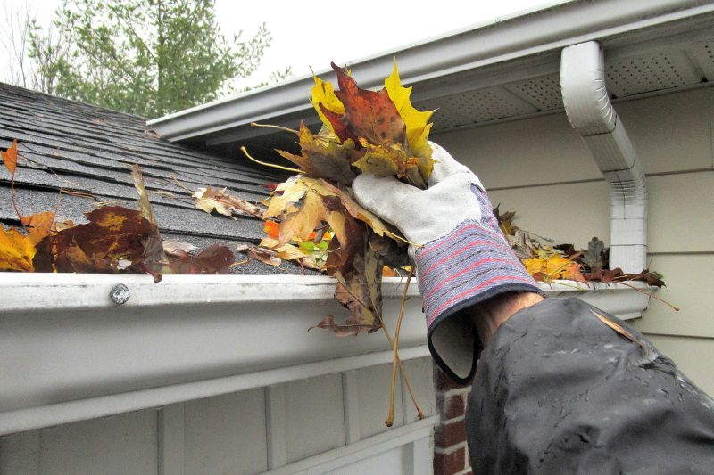 Clogged Gutter Clearing in Frederick, MD