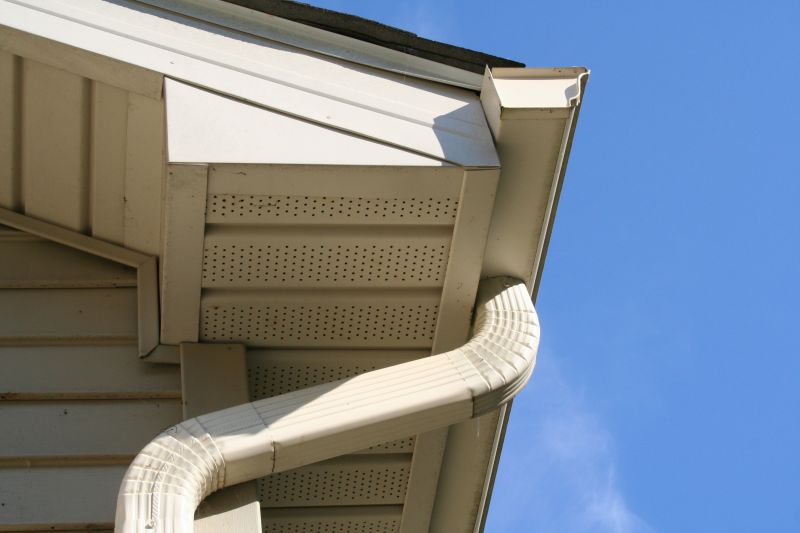 Downspout Cleaning in Westchester County, NY