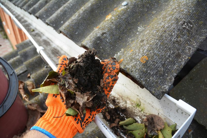 Gutter Blockage Removal in Annapolis, MD