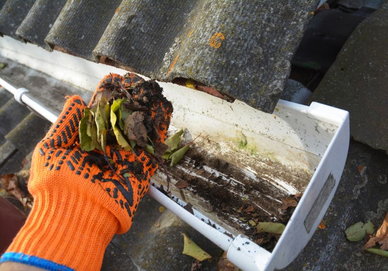 Gutter Cleaning in Pittsburgh, PA