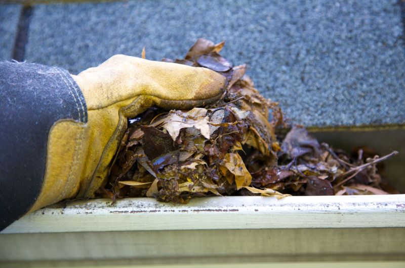 Gutter Leaf Clearing in Pittsburgh, PA