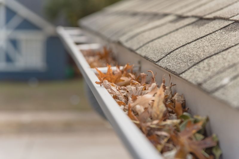 Gutter Leaves Removal in Longmont, CO