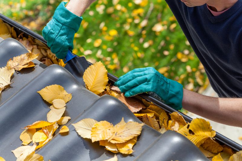 Gutter Leaves Removal in Boulder, CO