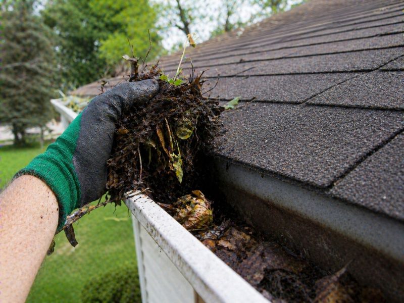 Gutter Pine Needle Removal in Richmond, VA