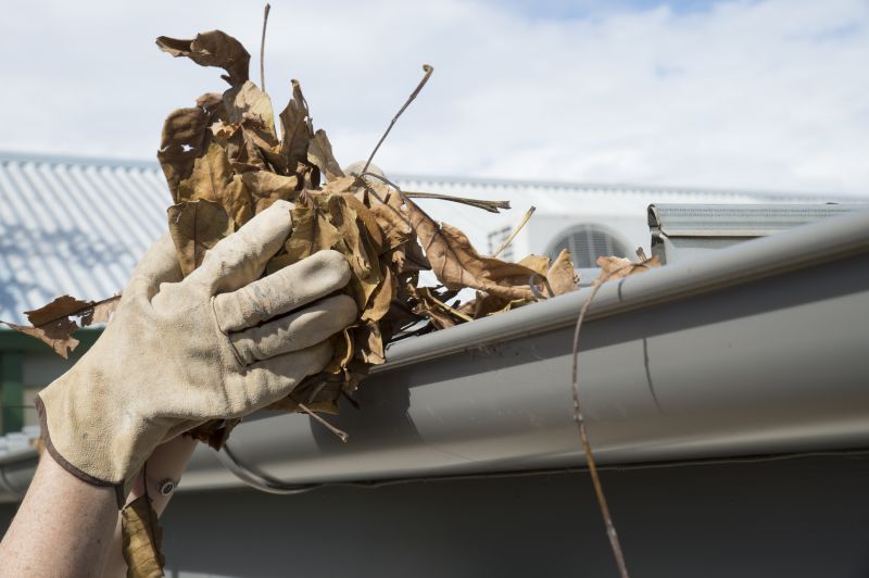 Gutter Pine Needle Removal in Pittsburgh, PA