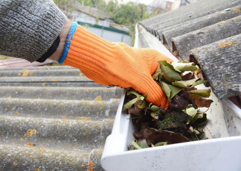 Gutter Pine Needle Removal in Westchester County, NY