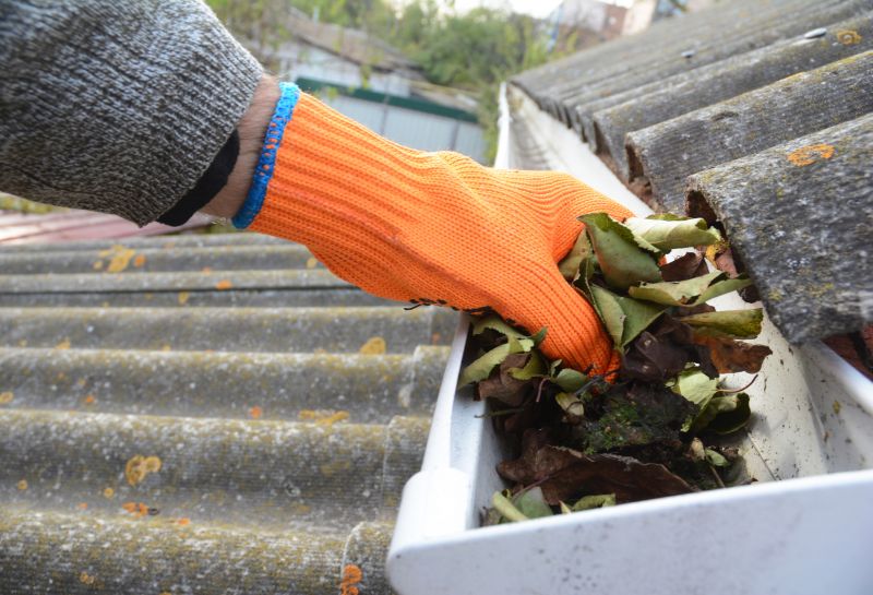 Gutter Pine Needle Removal in Longmont, CO