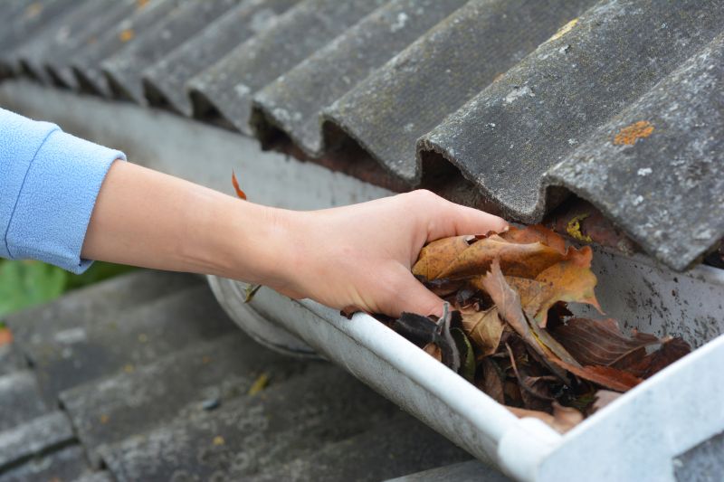 Roof Gutter Cleaning in Rochester, NY