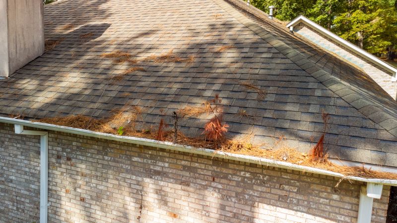 Roof Pine Needles Removal in Vancouver, WA